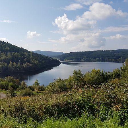 Gemuetliche Ferienwohnung Im Schoenen Erzgebirge - Wohnung Fruehling Айбеншток Экстерьер фото