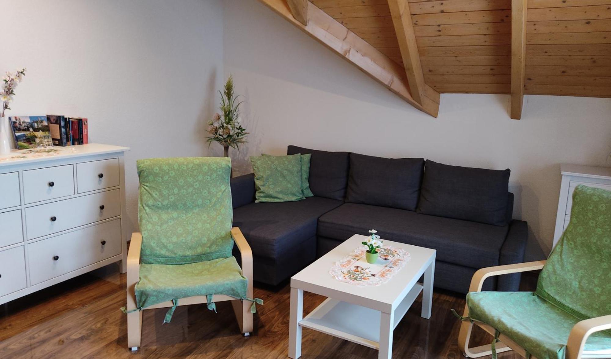 Gemuetliche Ferienwohnung Im Schoenen Erzgebirge - Wohnung Fruehling Айбеншток Экстерьер фото